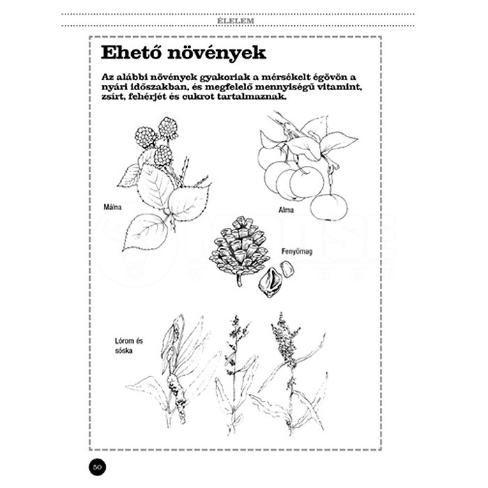 Különleges erők túlélőkönyve